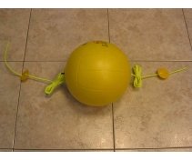 Ball with elastics