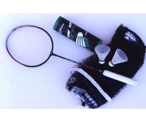 Art. 7710 Sieť badmintonová